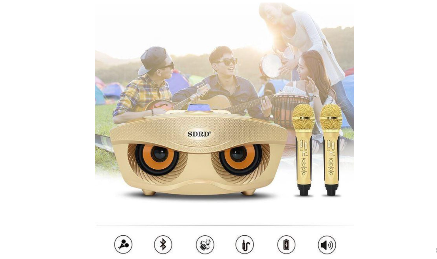 SD-306 draadloze Bluetooth dubbele microfoon Karaoke draagbare 3D stereoluidspreker - Goud