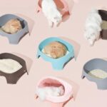 Pakeway Kattenbak - Kattenmand - Stijlvol L 52 x B 40,5 x H 20 cm. - Grijs