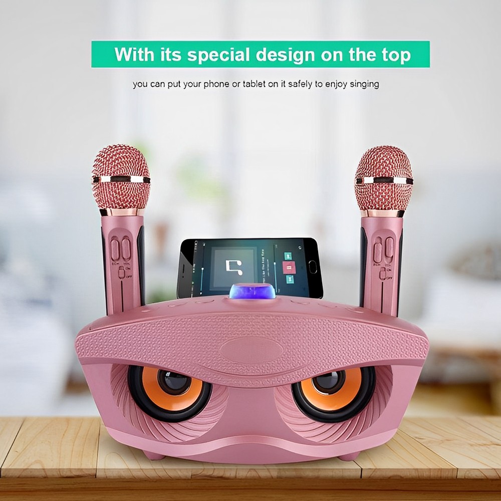 Karaoke Luidspreker met 2 Microfoons | SD-306 Zwart