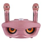 Karaoke Luidspreker met 2 Microfoons | SD-306 Zwart