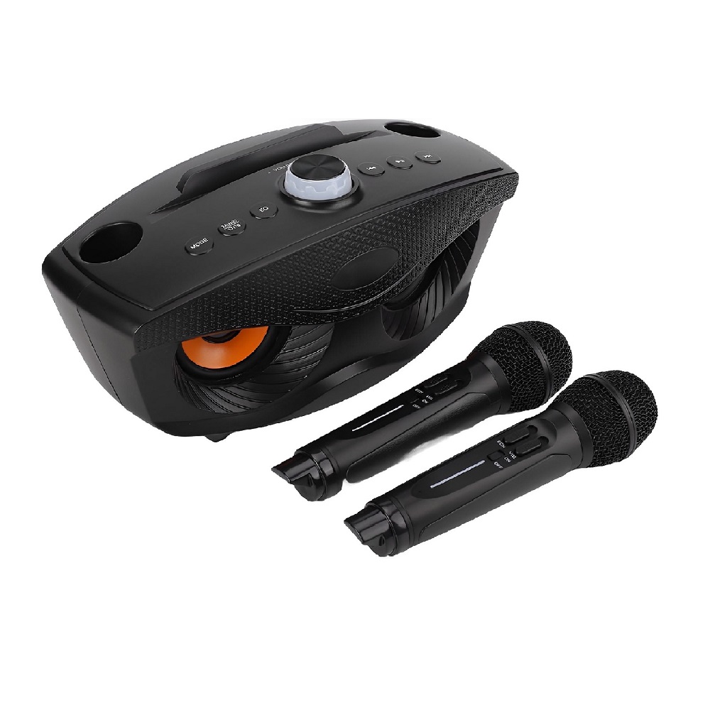 Karaoke Luidspreker met 2 Microfoons | SD-306 Zwart